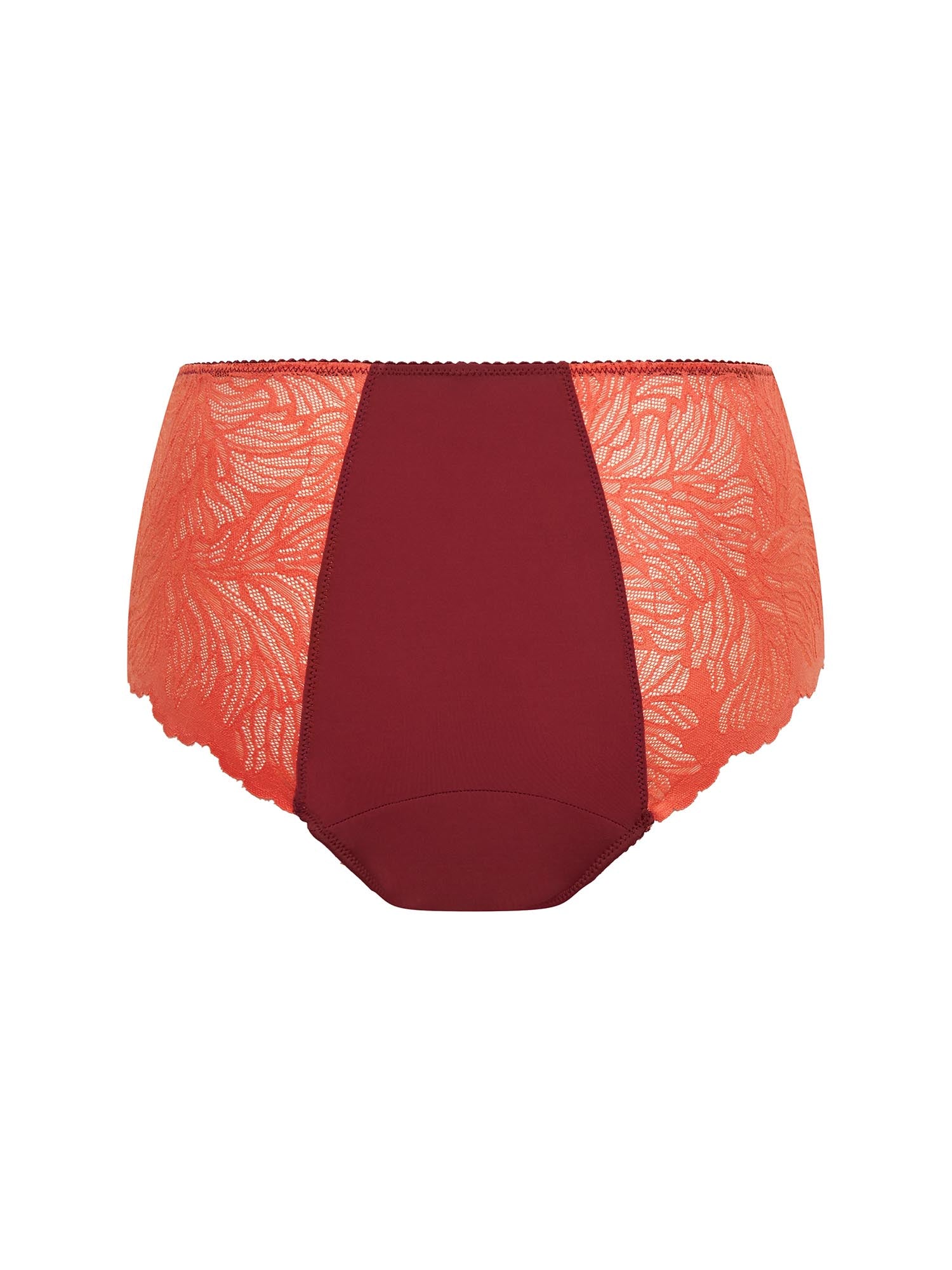 Manon Hi Waist Brief Moderate Bordeaux Red - Image 4